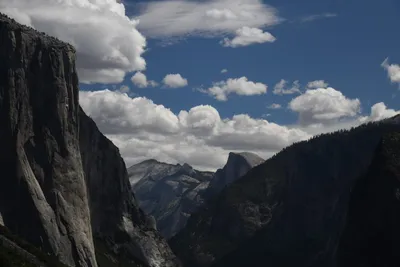 DSC_4319 (Large).JPG